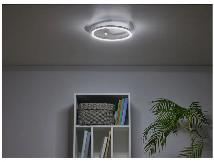 Livarno home Stropné LED svietidlo (okrúhle/strieborná)  (100377495)