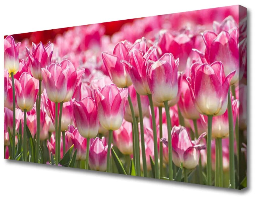 Obraz Canvas Tulipány kvety príroda 125x50 cm