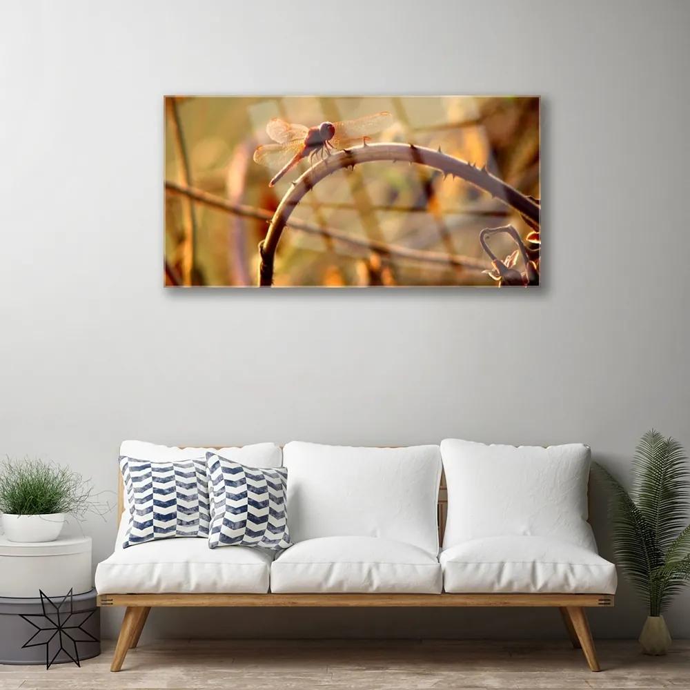 Obraz na skle Vážka príroda rastlina 120x60 cm