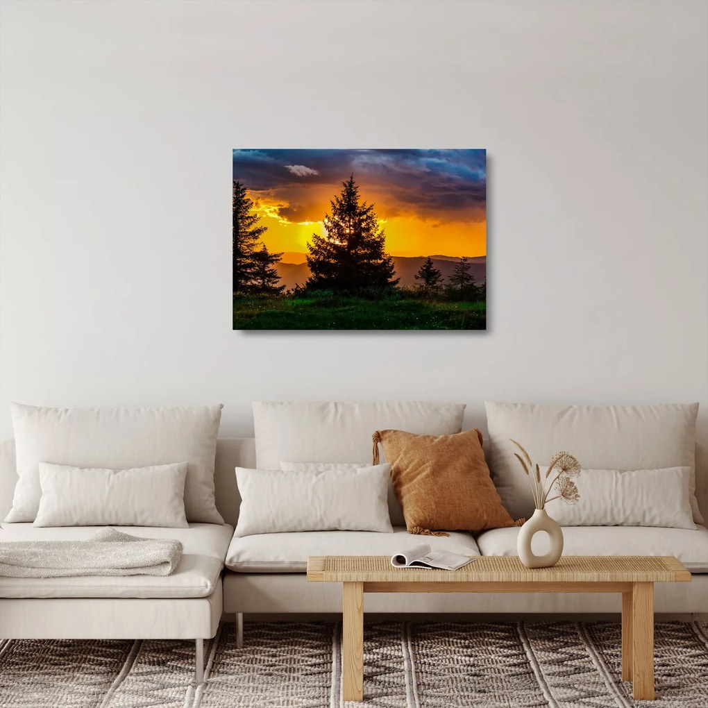 Sklenený obraz - ihličnany (70x50 cm)