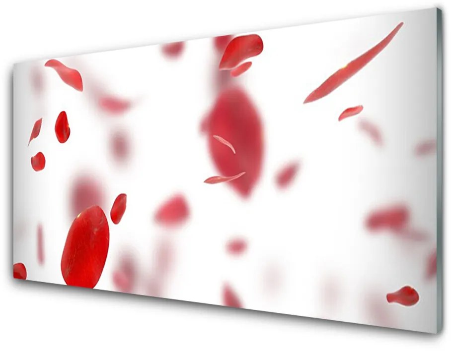 Obraz na akrylátovom skle Ruže plátky 120x60 cm
