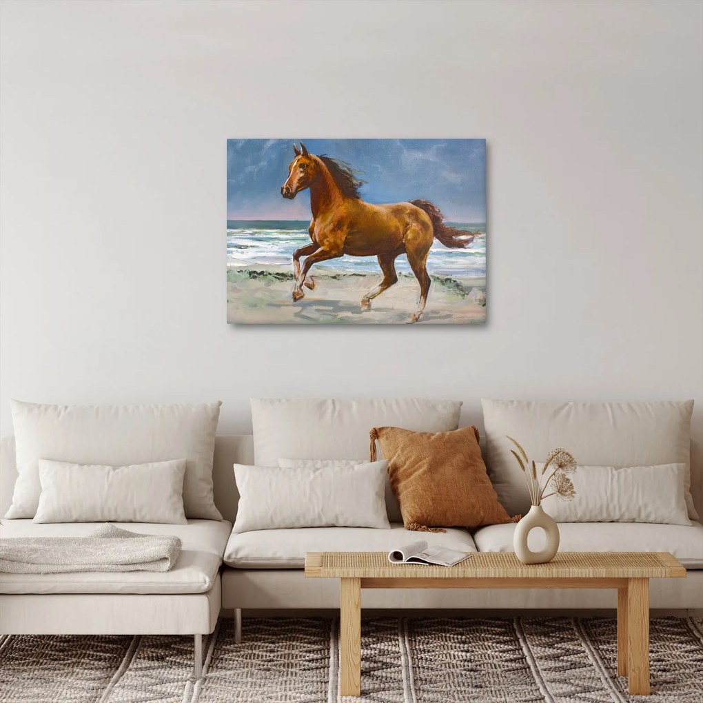Obraz koňa na pláži (70x50 cm)