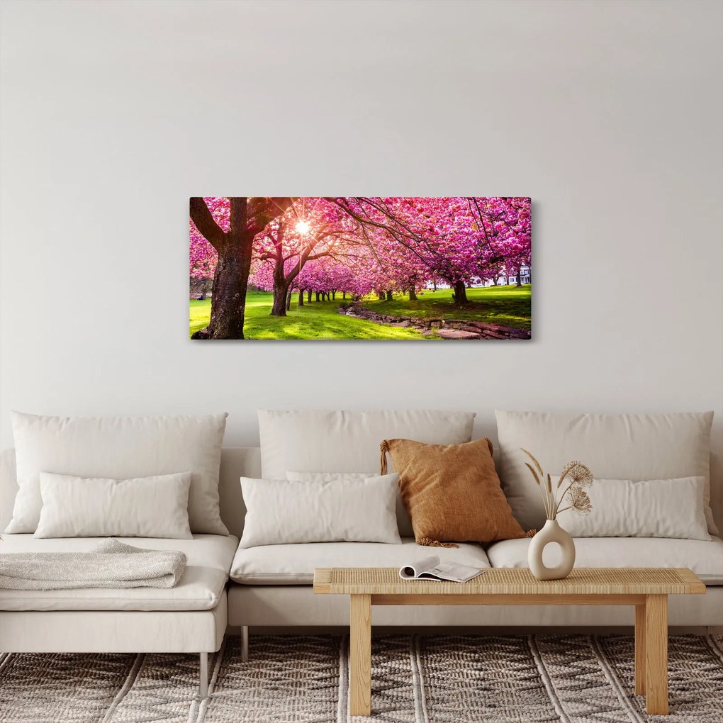 Obraz rozkvitnutých čerešní, Hurd Park, Dover, New Jersey (120x50 cm)