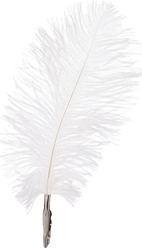 Biele pierko 6 ks 18x9 cm 1112647