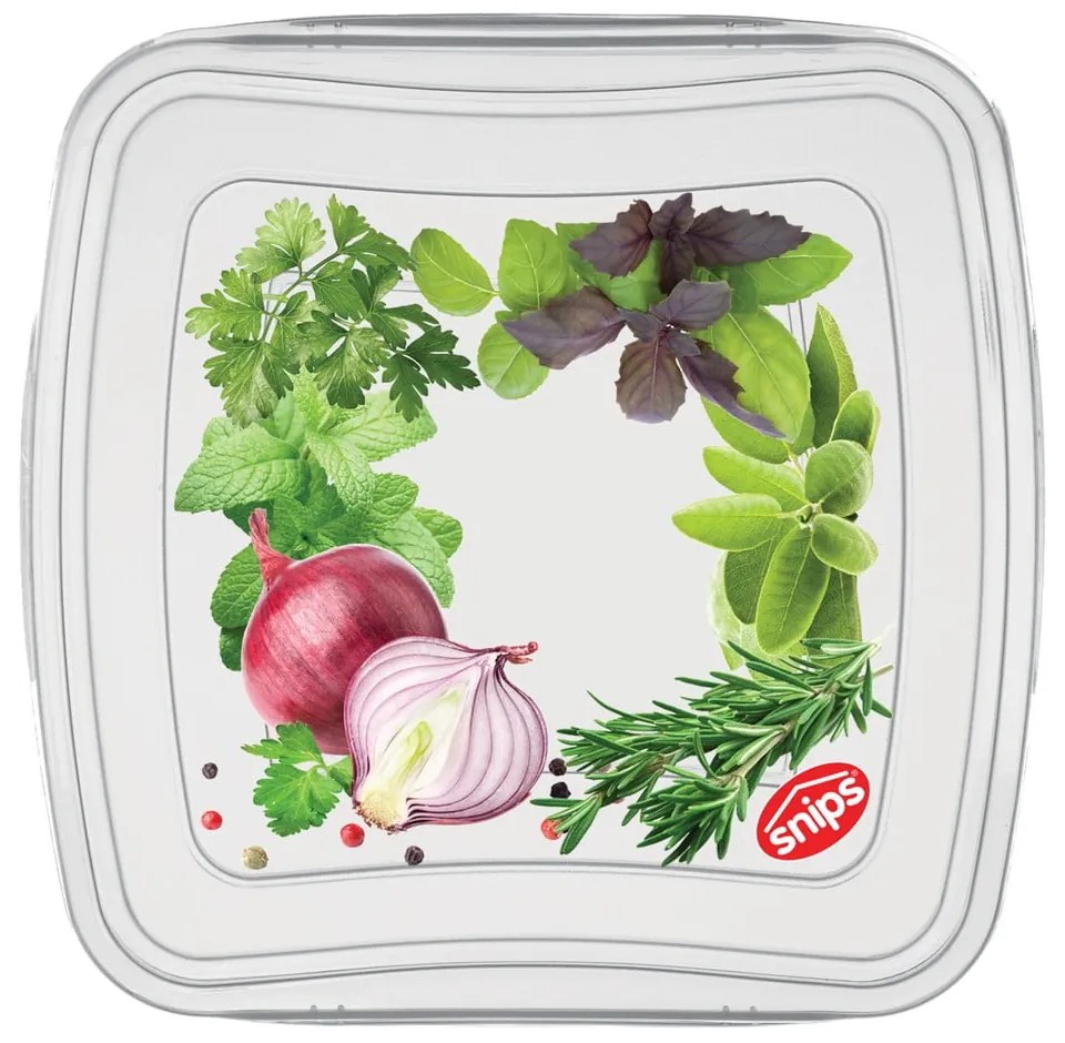 Sada 3 škatuliek na potraviny Snips Classic, 0,25 l