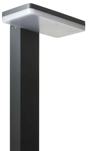 RED - Design Rendl - R12515 - LED Vonkajšia lampa RINA LED/12W/230V IP44