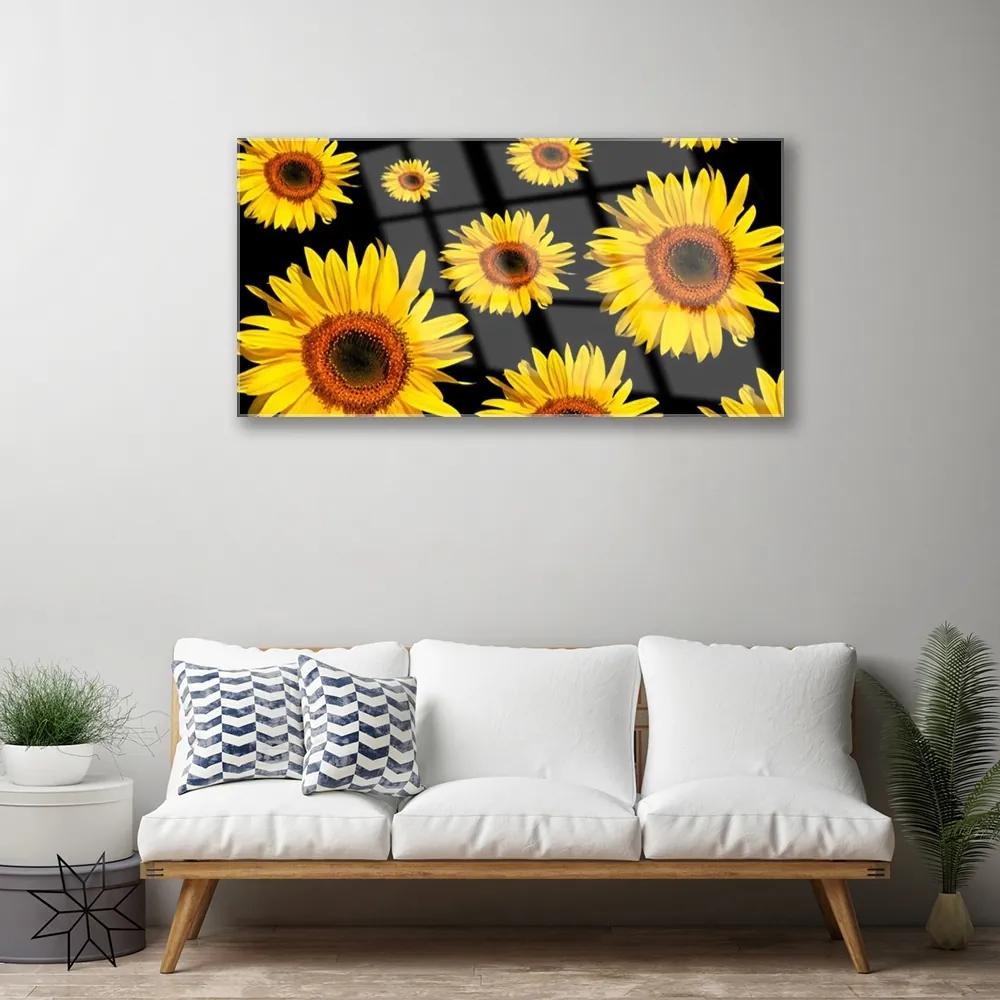 Skleneny obraz Slnečnica rastlina príroda 125x50 cm