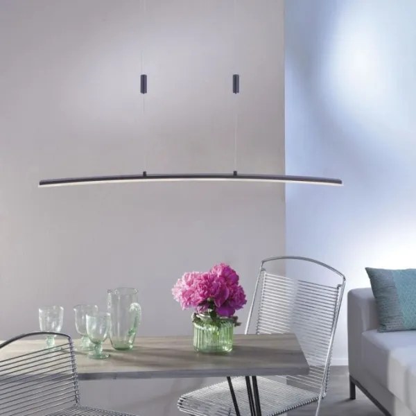 Paul Neuhaus 2530-13 - LED Stmievateľný luster na lanku JANINA LED/27W/230V