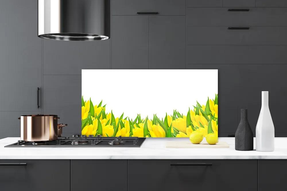 Sklenený obklad Do kuchyne Kvety príroda tulipány 120x60 cm