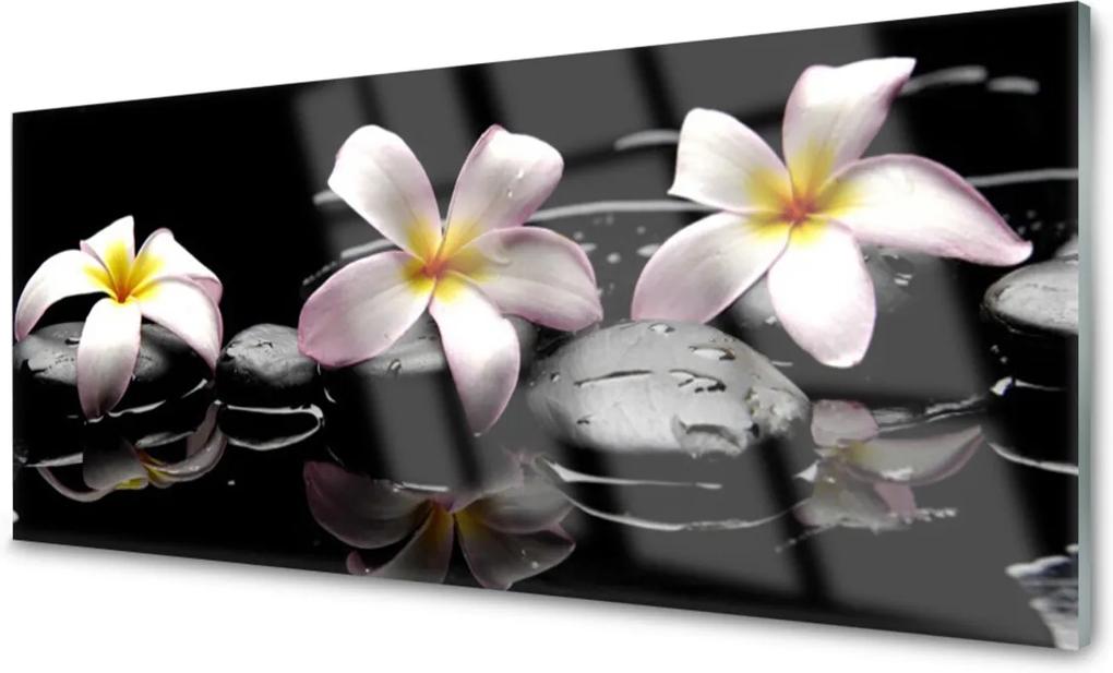 Obraz na akrylátovom skle Kvet Kamene Rastlina