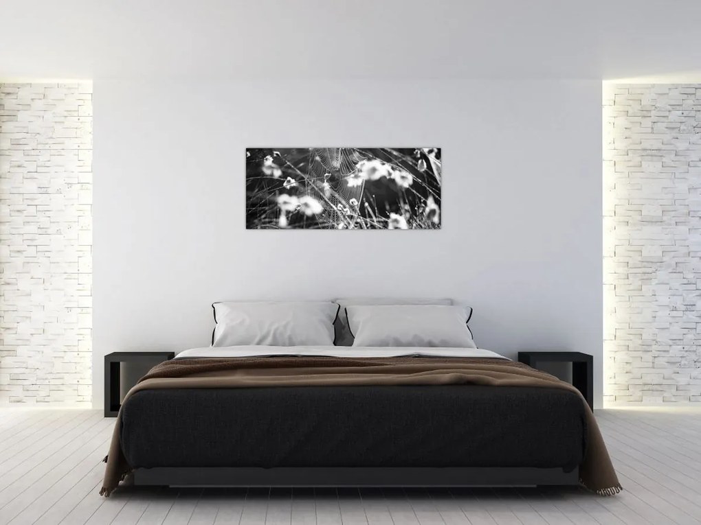 Obraz - Pavučina na lúke (120x50 cm)