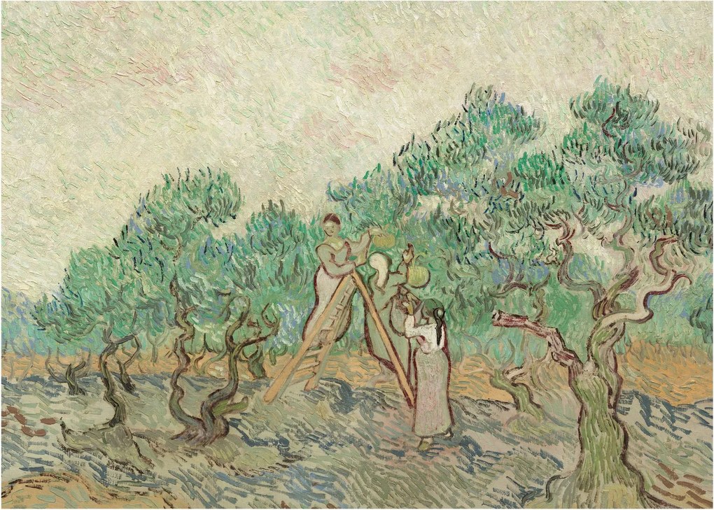 Obraz - Vincent van Gogh, The Olive Orchard, reprodukcia (70x50 cm)