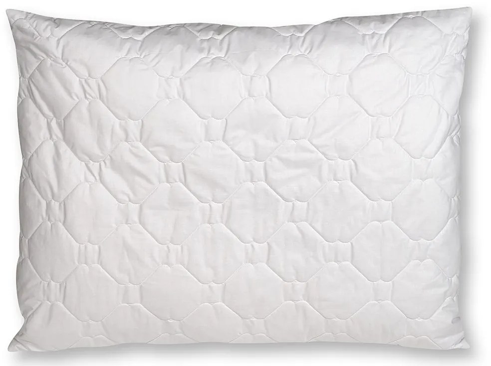 2G Lipov Vankúš Clivie+ 95°C vyvárací - 70x90 cm
