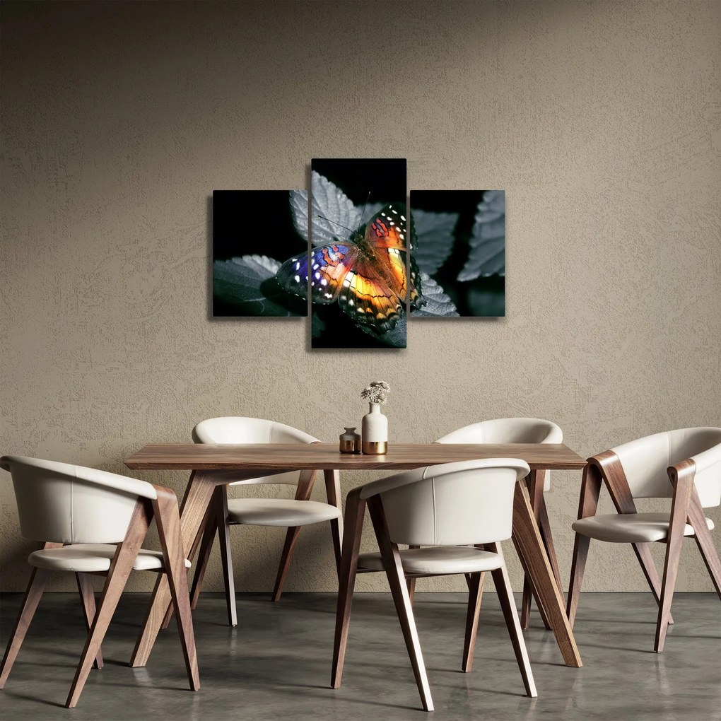 Obraz motýľa (90x60 cm)