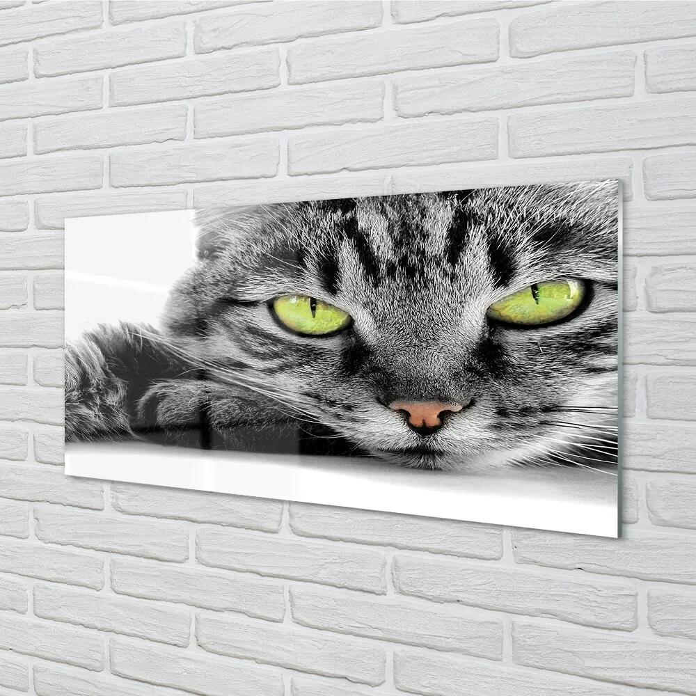 Sklenený obraz šedočierna mačka 100x50 cm