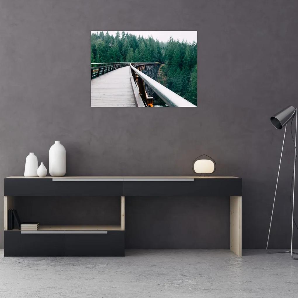 Sklenený obraz - Most k vrcholkom stromov (70x50 cm)