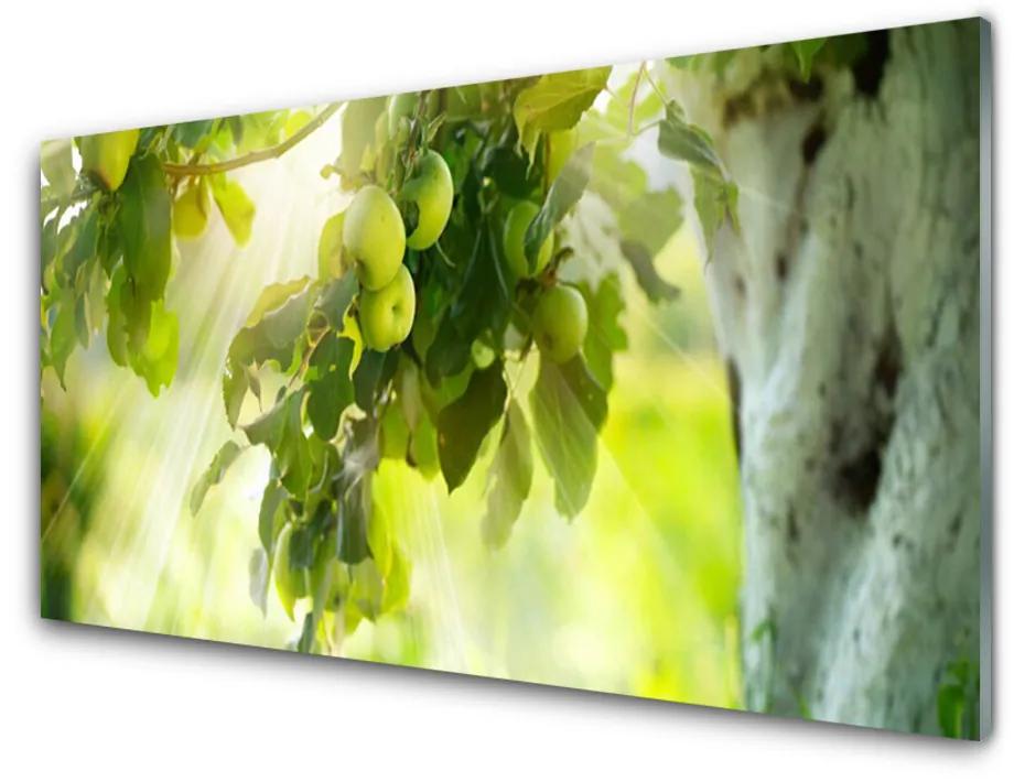 Skleneny obraz Jablká vetva strom príroda 120x60 cm