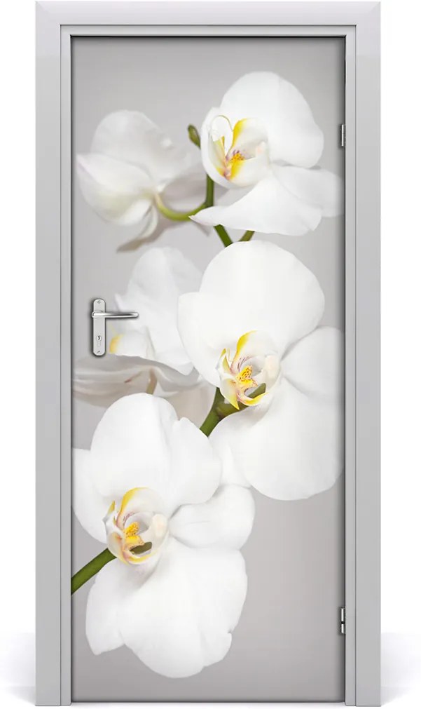 Fototapeta na dvere  biela orchidea