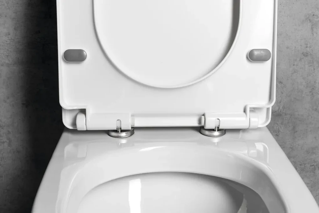 Aqualine Aqualine, VERMET WC sedátko, Soft Close, biela, VRS008