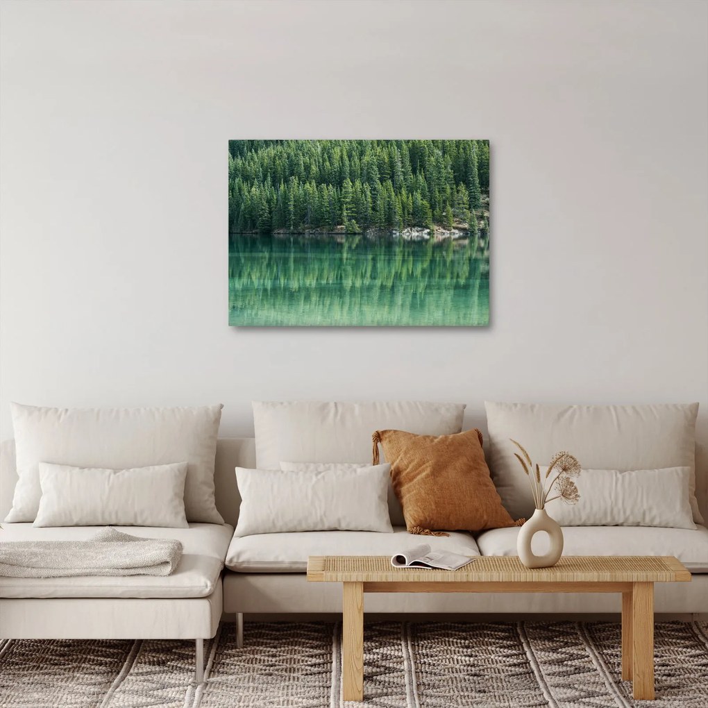 Obraz - Ihličnany pri jazere (70x50 cm)