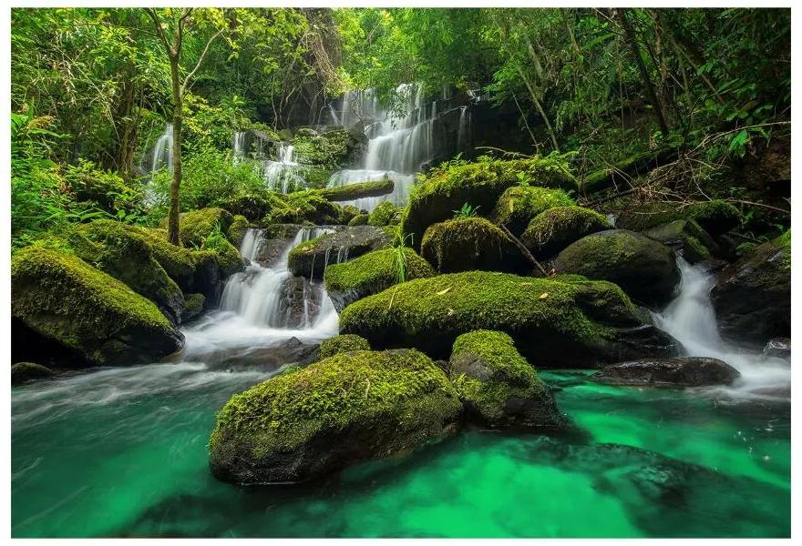 Fototapeta Vliesová Vodopád v džungli 312x219 cm
