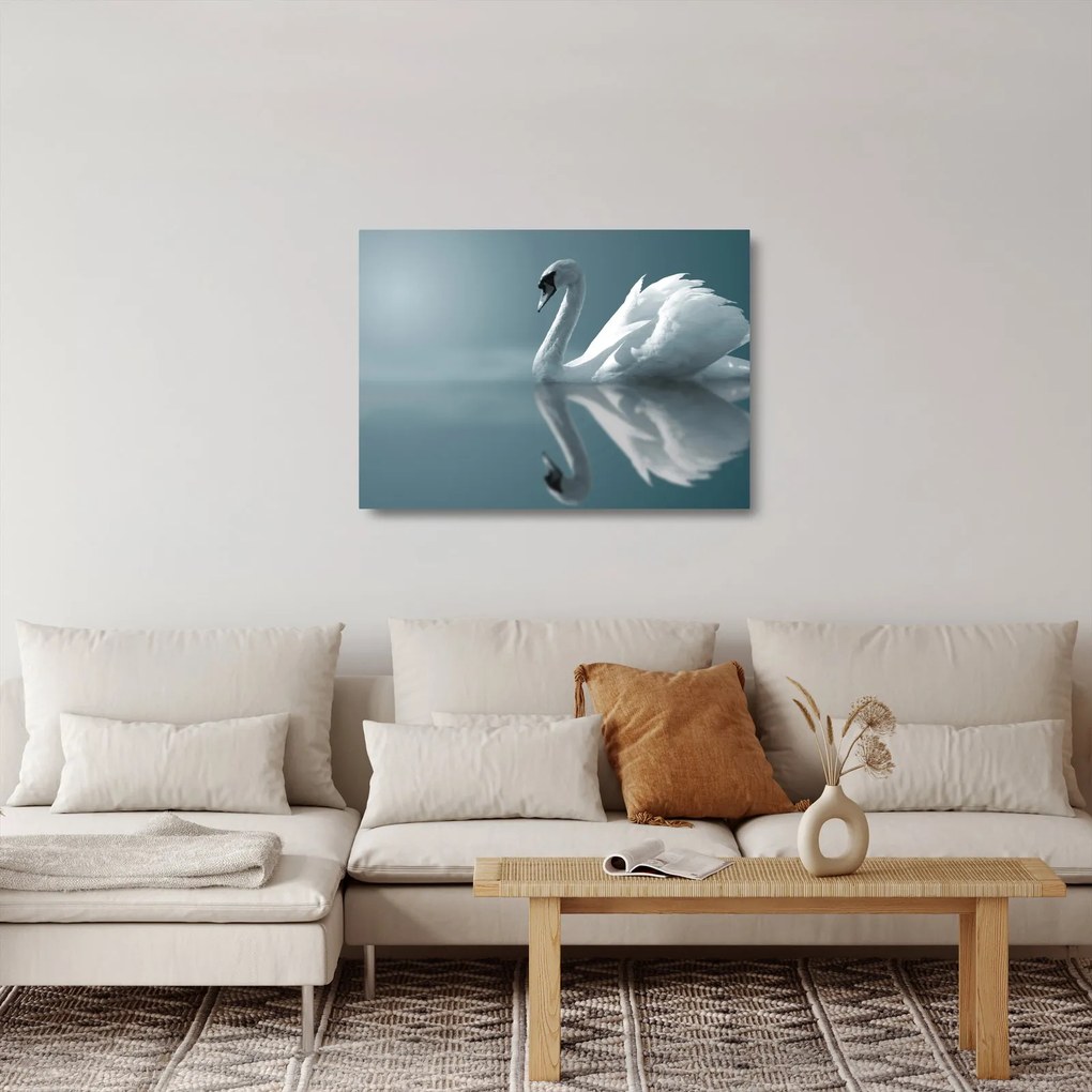 Sklenený obraz - Biela labuť (70x50 cm)