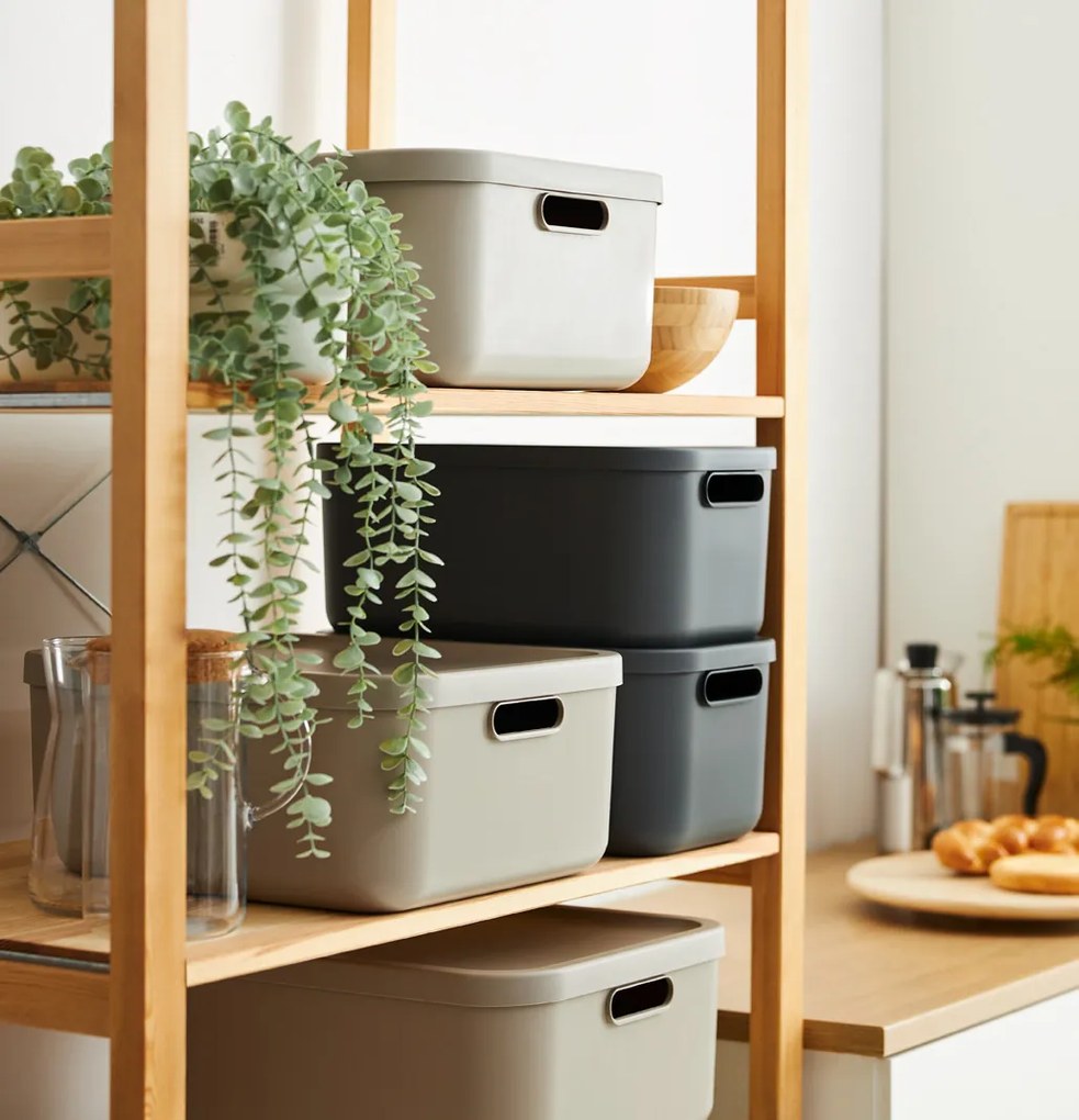 Rotho Úložný box, rovný s vekom, 12 l, antracit ALBU LIGHT, 40 x 24 x 18 cm