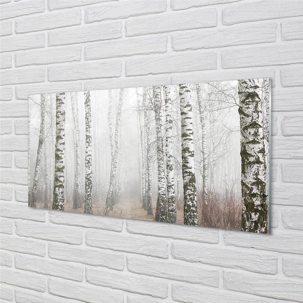 Obraz plexi Hmla breza 140x70 cm