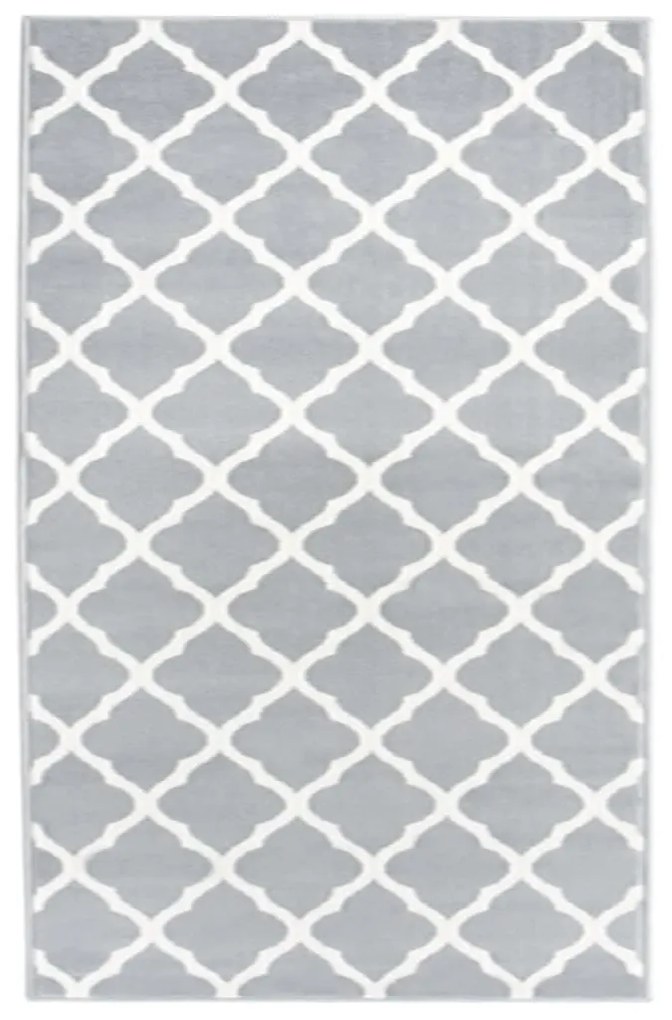 Sivý koberec so vzorom LOBEREN 100 x 150 cm