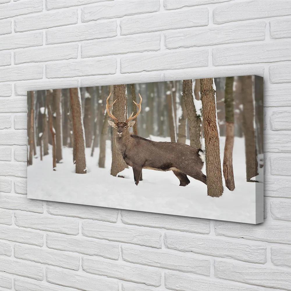 Obraz na plátne Jeleň zimné les 125x50 cm