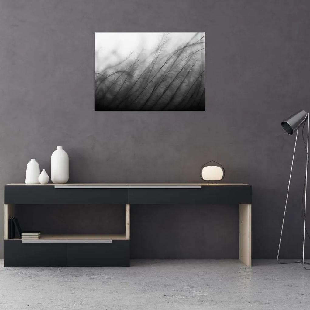 Sklenený obraz - Tráva vo vetre (70x50 cm)