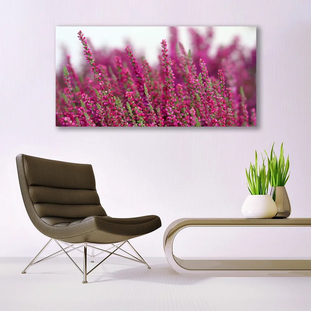 Obraz plexi Kvety lúka príroda 120x60 cm