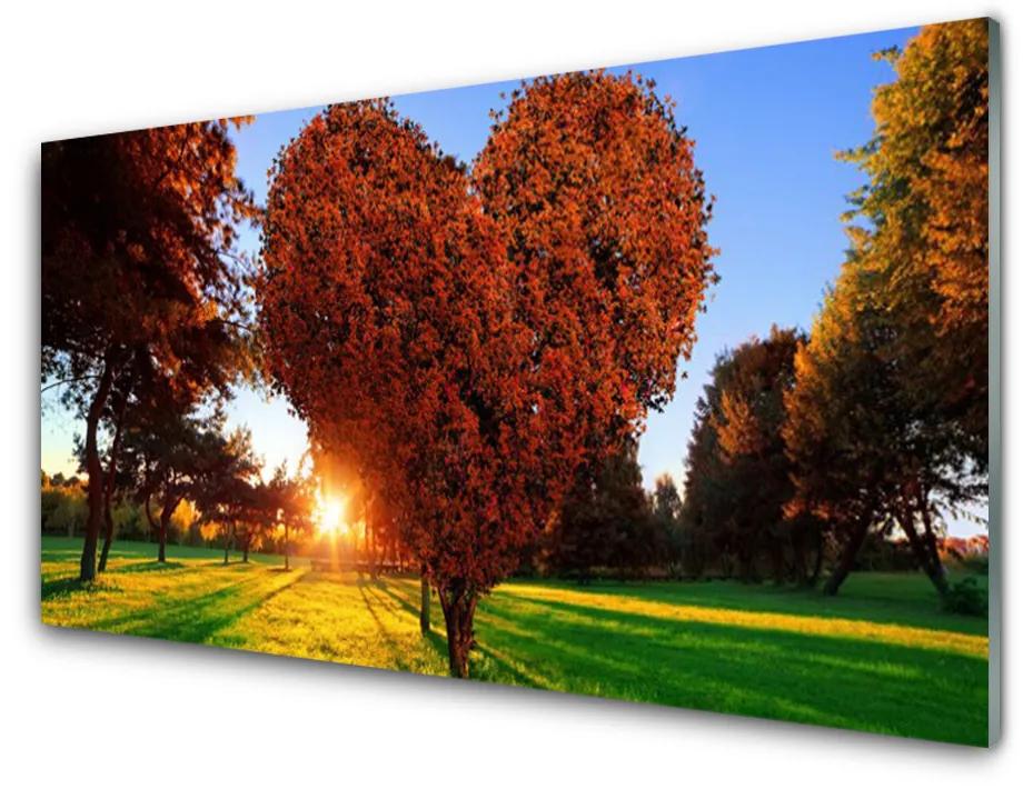 Skleneny obraz Strom srdce přírdoa 125x50 cm