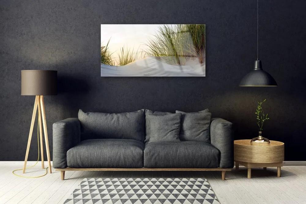 Skleneny obraz Piesok tráva krajina 120x60 cm