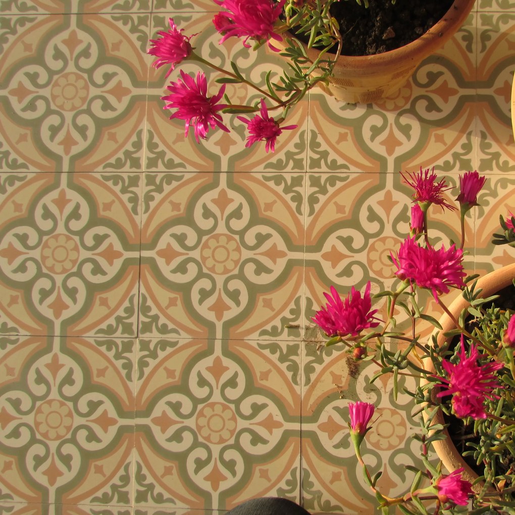 Cementové dlaždice 4805 | Articima