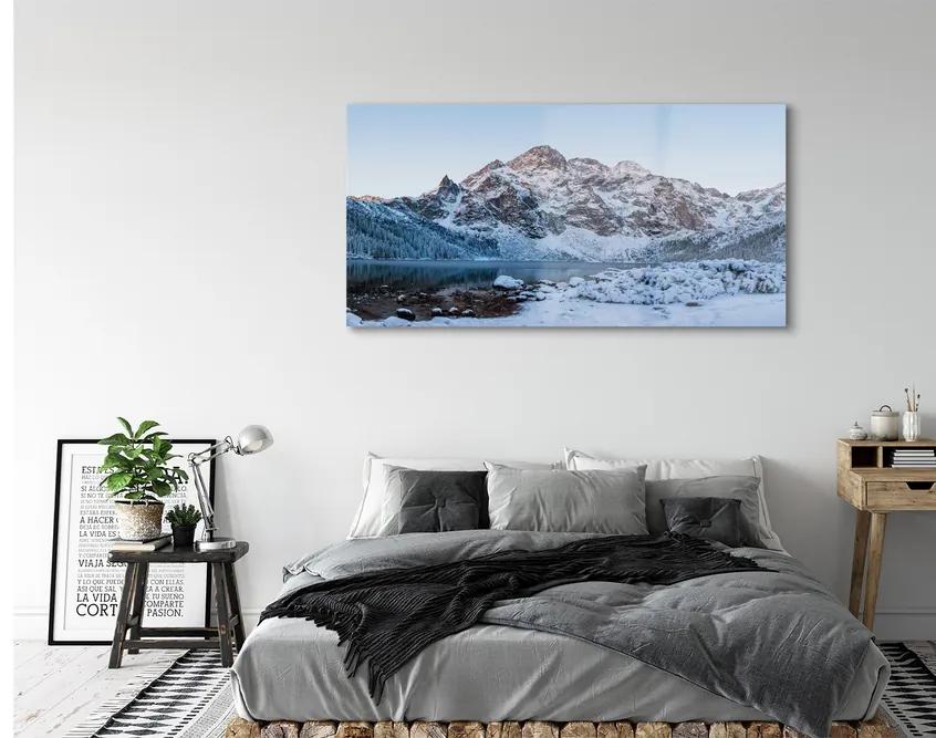 Obraz plexi Horské zimné jazero 140x70 cm