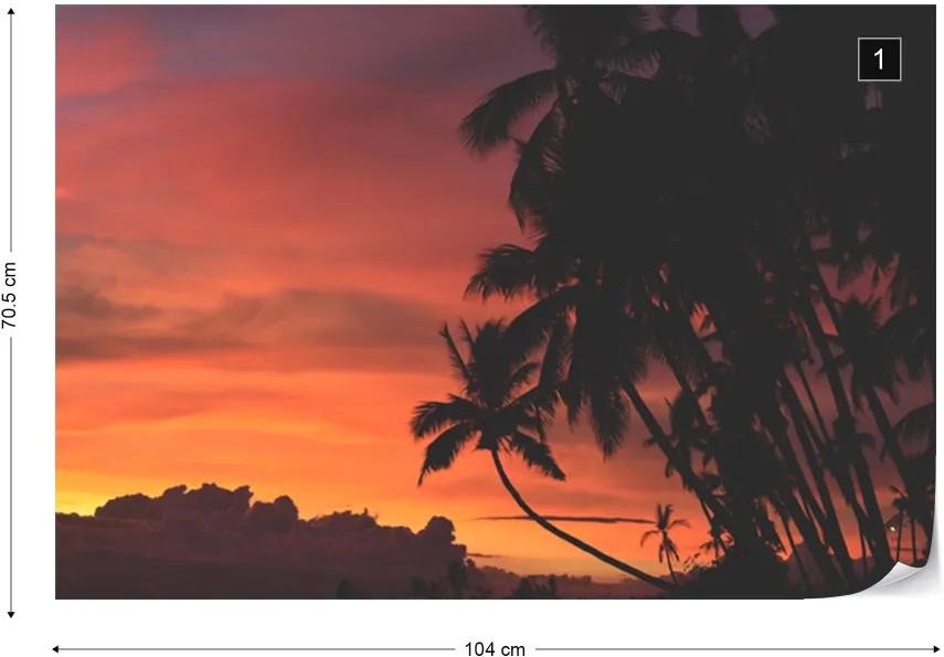 Fototapeta GLIX - Tropical Silhouette + lepidlo ZADARMO Vliesová tapeta  - 104x70 cm