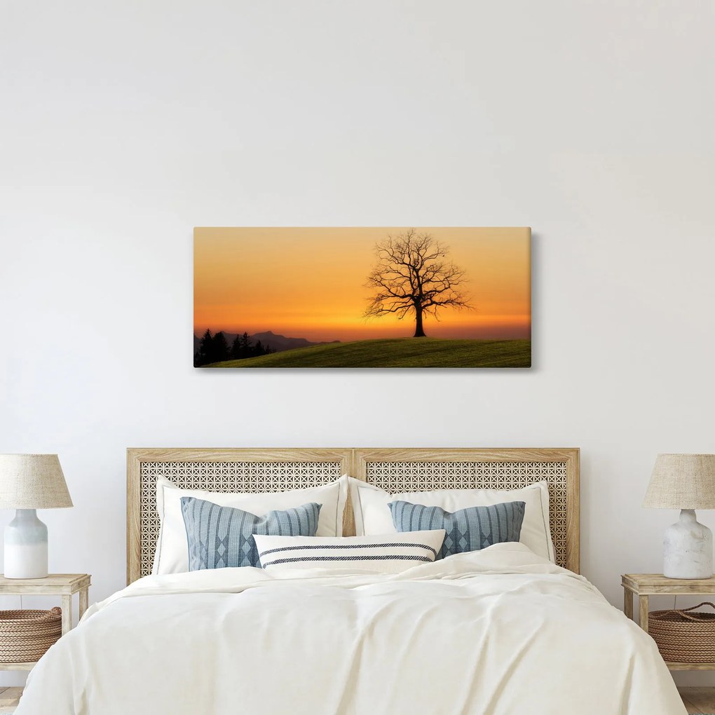 Obraz západu slnka na lúke (120x50 cm)