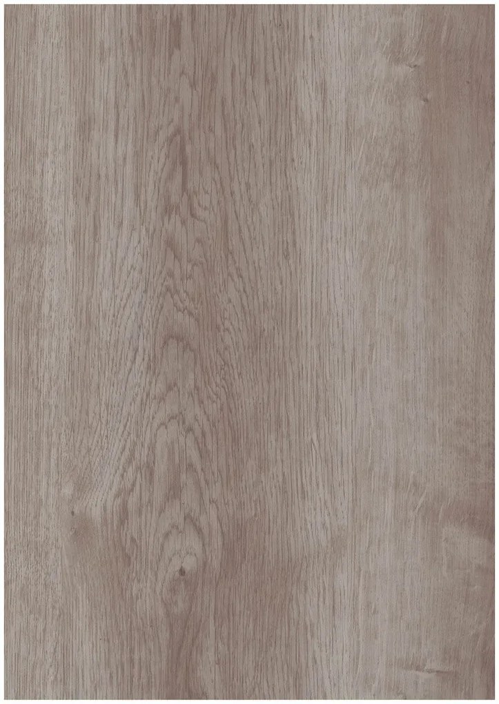 Oneflor Vinylová podlaha ECO 30 062 Noble Oak Greige - Lepená podlaha