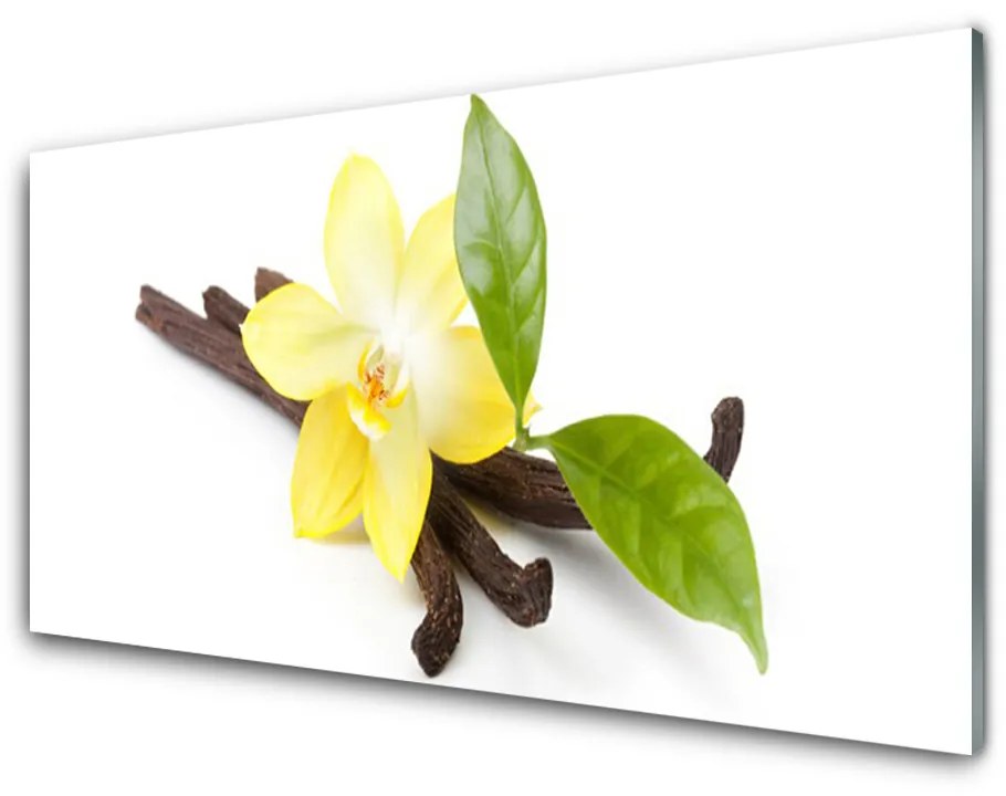 Skleneny obraz Vanilka listy rastlina 125x50 cm