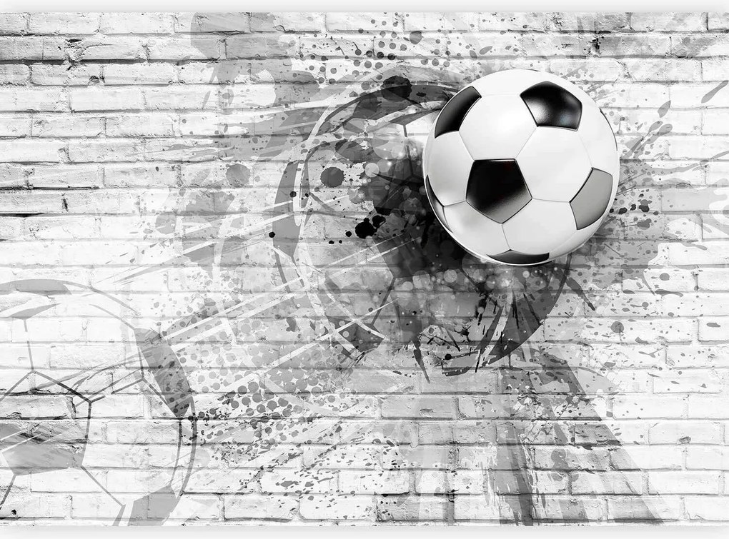 XXXLutz FOTOTAPETA velikost: 150/105 cm artgeist - Online Only bytové doplnky - 004875156208