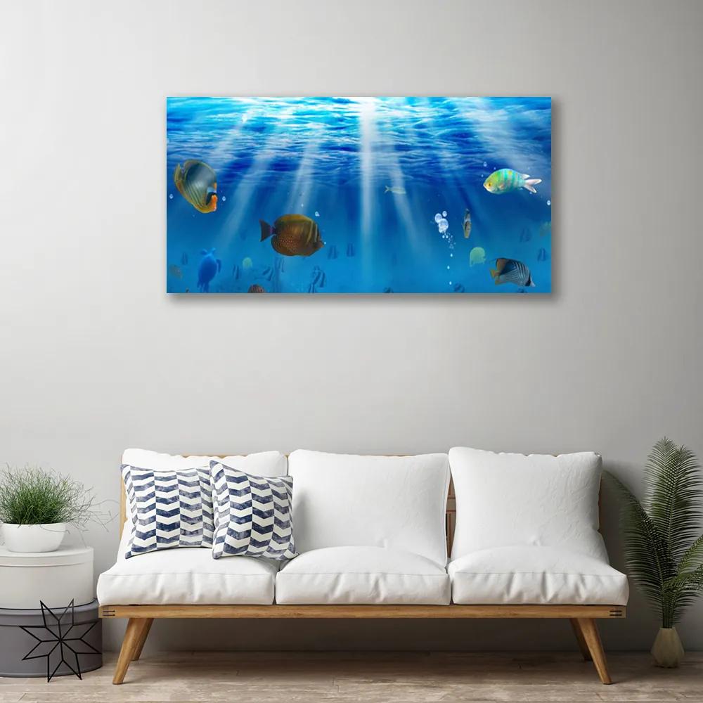 Obraz na plátne Ryba príroda 140x70 cm