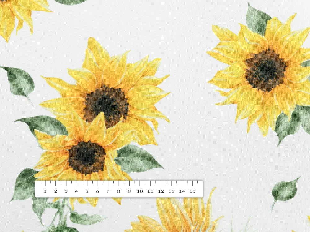 Biante Dekoračné prestieranie na stôl Rongo RGP-502 Slnečnice na bielom 35x45 cm