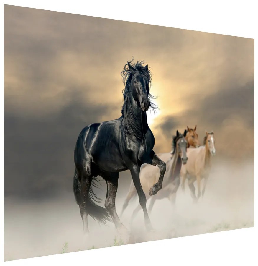 Gario Fototapeta Nádherný čierny kôň Materiál: Samolepiaca, Rozmery: 200 x 135 cm