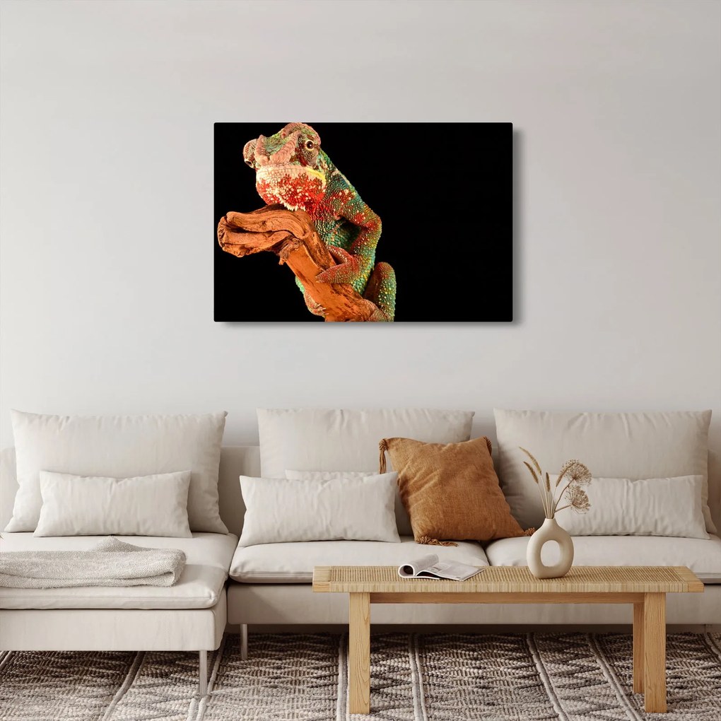 Obraz chameleóna na vetve (90x60 cm)