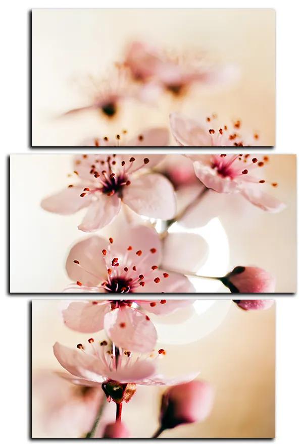 Obraz na plátne - Malé kvety na vetve - obdĺžnik 7173C (105x70 cm)