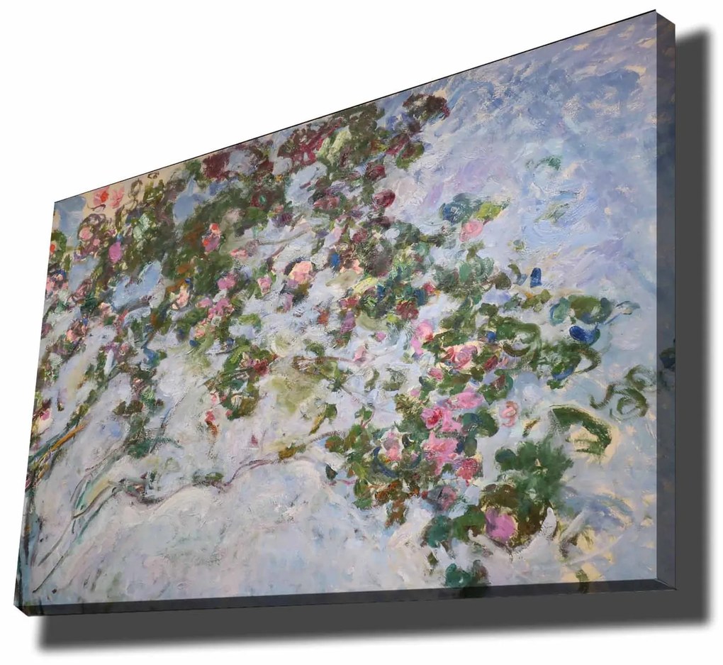 70100MONET003
