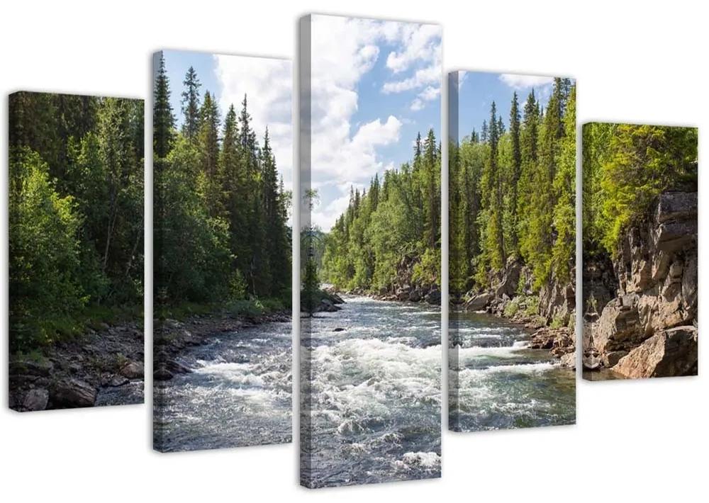 Obraz na plátně pětidílný Forest Green River Příroda - 100x70 cm