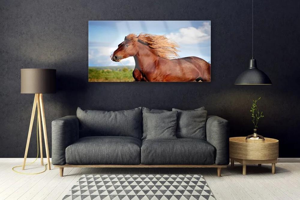Obraz na akrylátovom skle Kôň zvieratá 120x60 cm