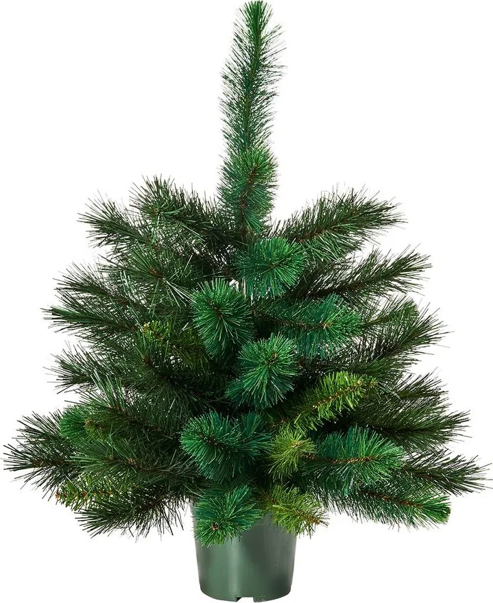 TREE OF THE MONTH Vianočný stromček 60 cm - zelená